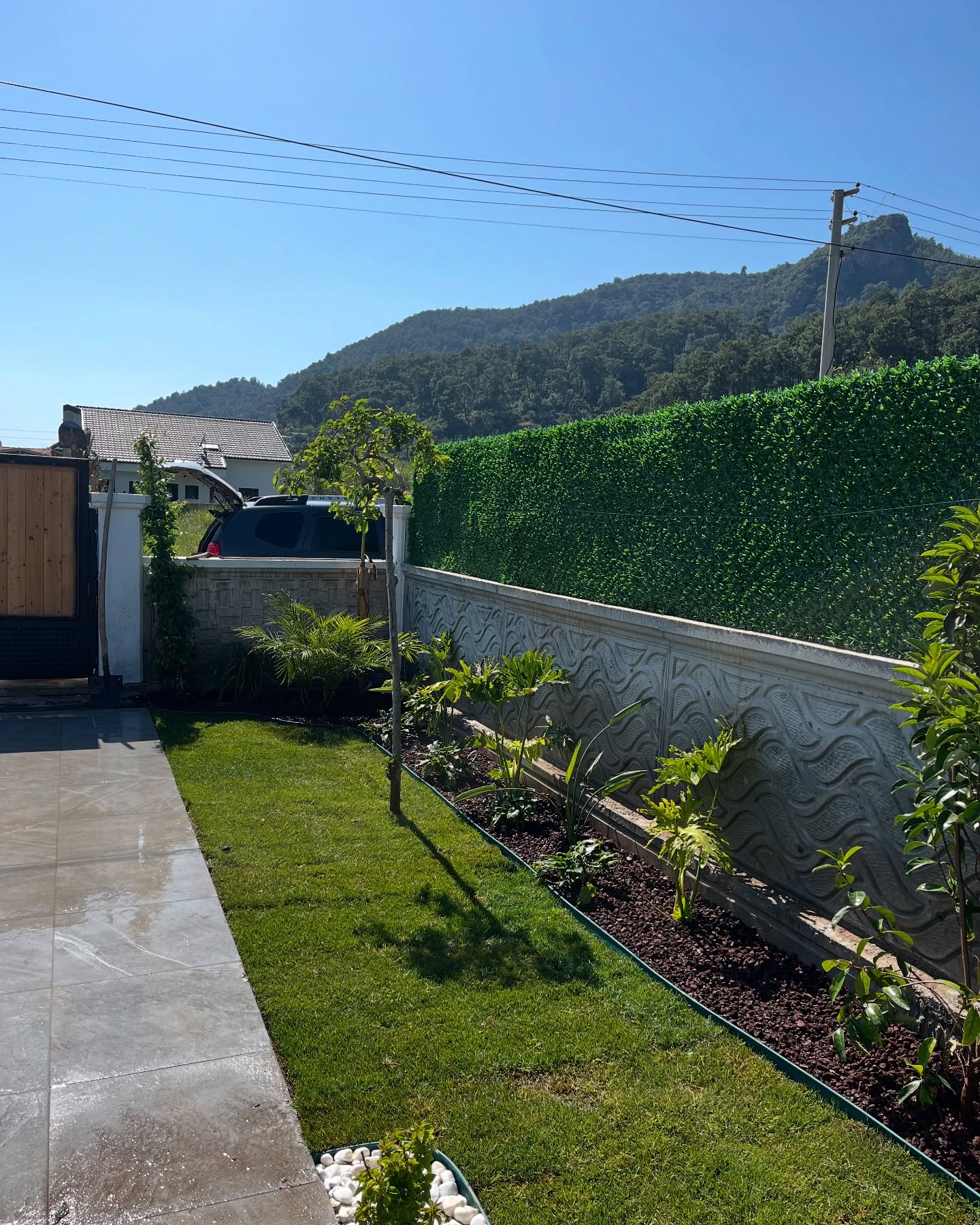 Dekoratif Çim Takımı